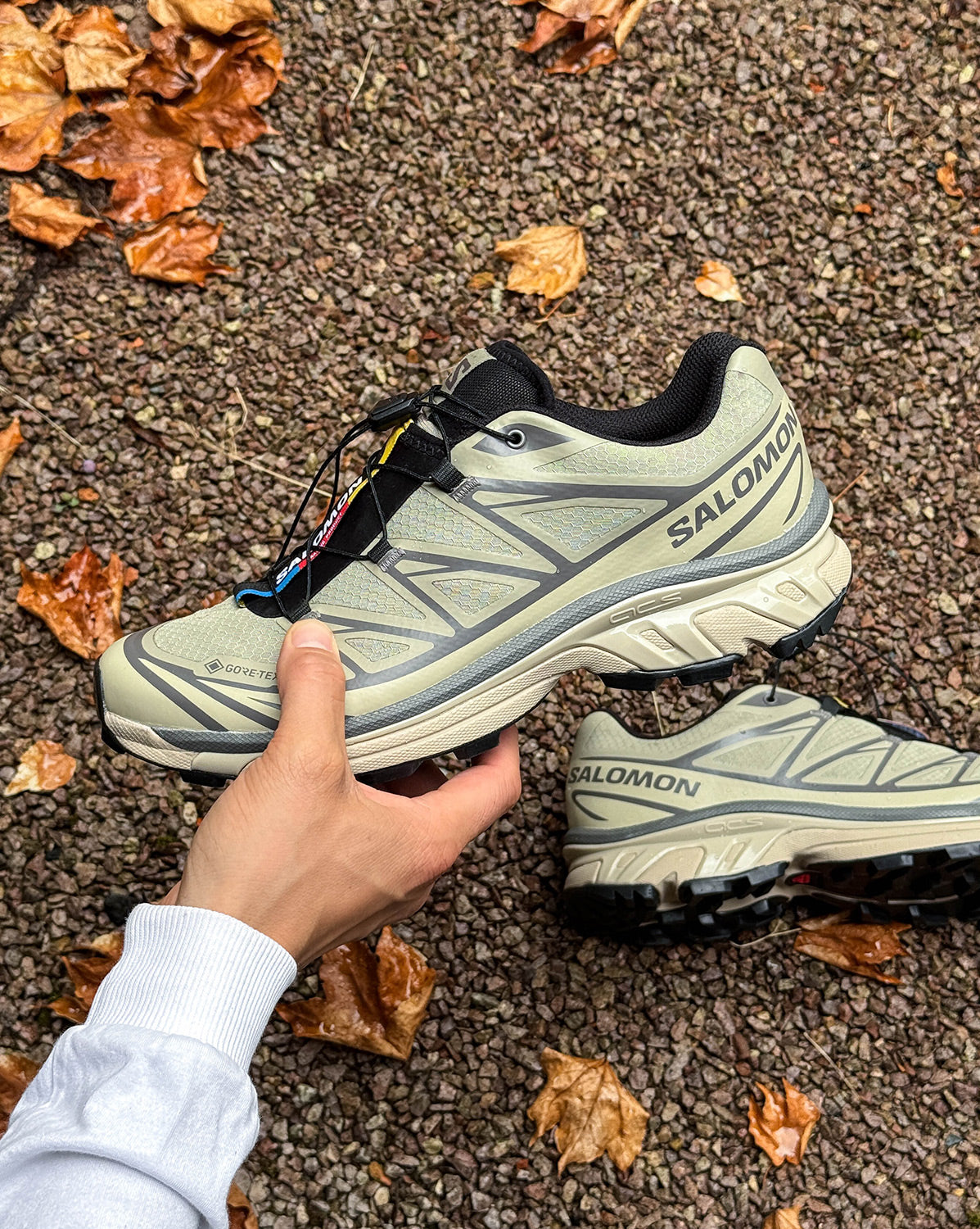 ジロー SALOMON XT-6 GTX 27cm Salomon XT-6 GTX Sneaker » Buy online now!