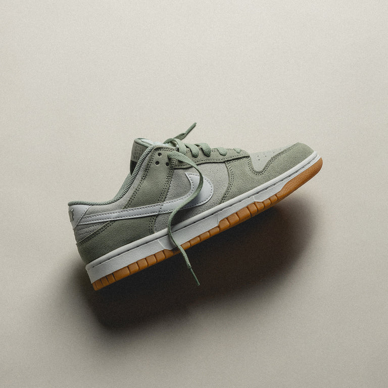 Nike Dunk Low Retro SE onfeet