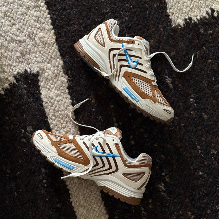 Nike Air Pegasus 2005 SE onfeet