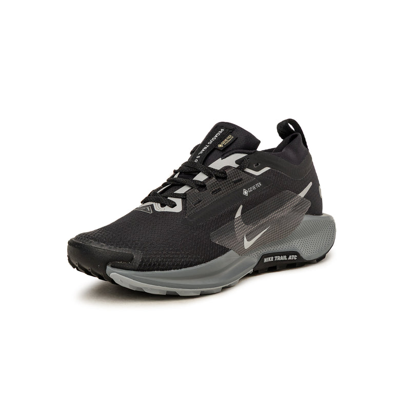 Nike Pegasus Trail 5 *Gore-Tex* SP