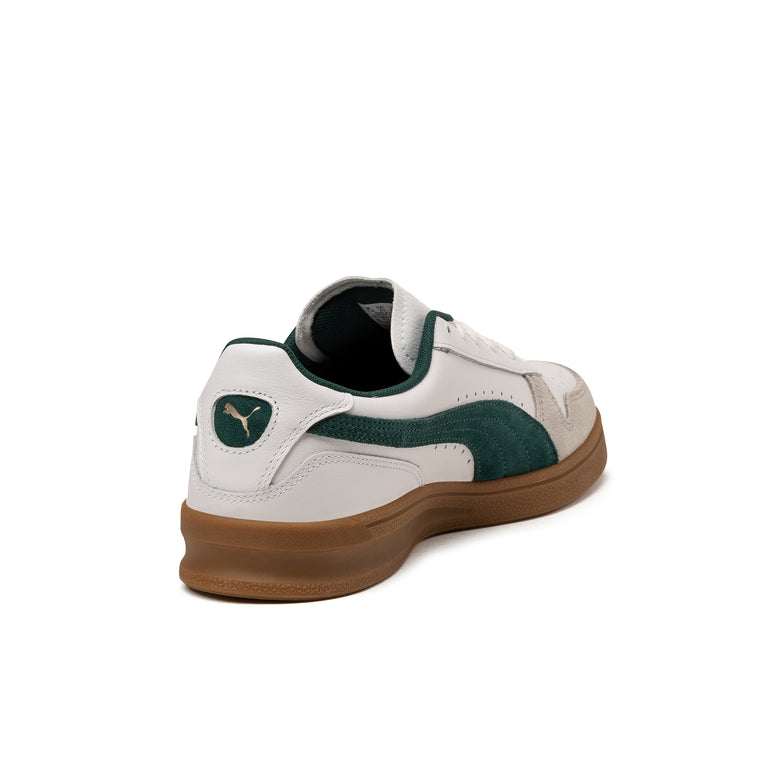 Puma Indoor