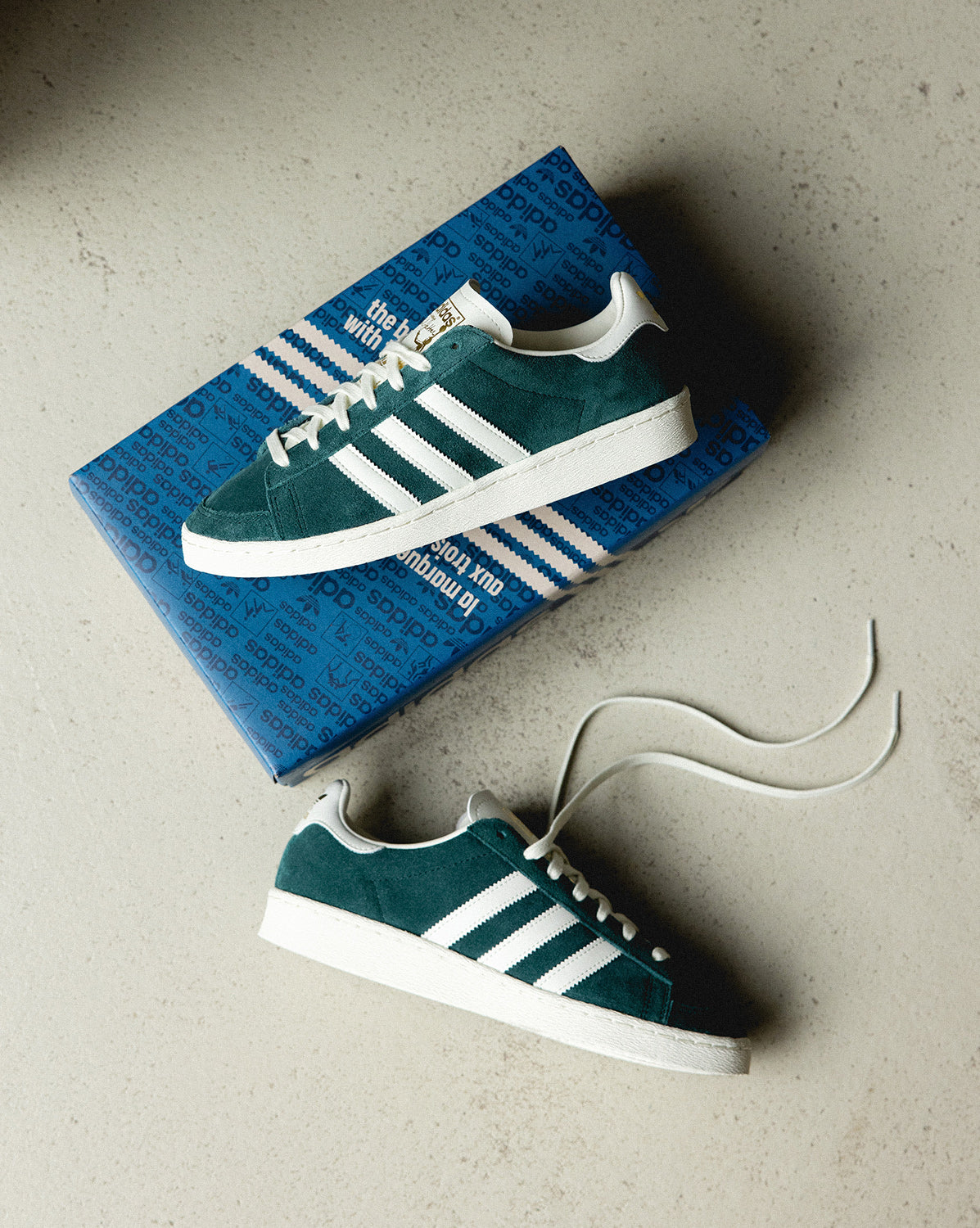 JABCR Adidas Jabbar Low Sneaker » Buy online now!