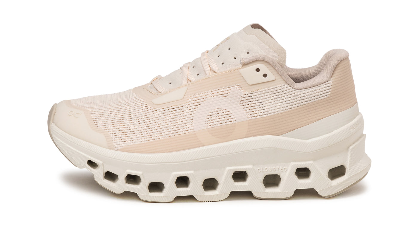 On Cloudmonster Men's Alloy/Silver – Holabird Sports