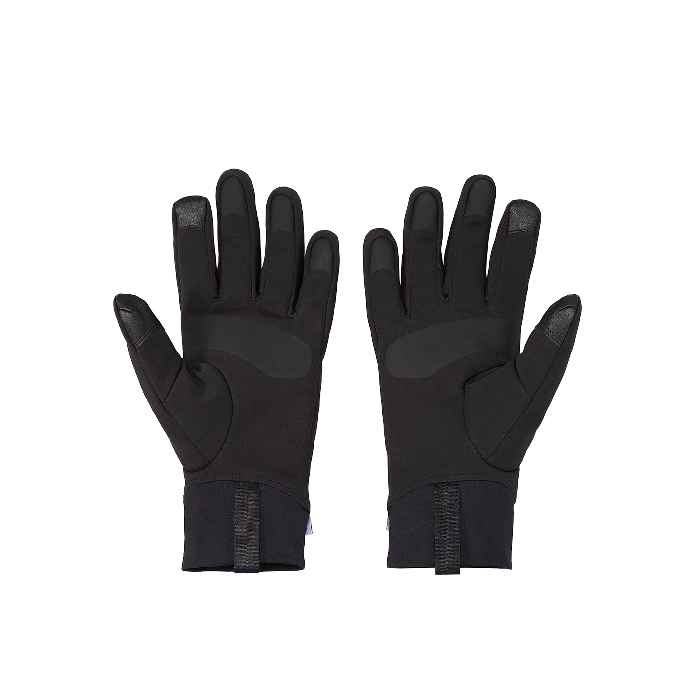 Arcteryx Venta Glove | Accessoires » Buy online now!