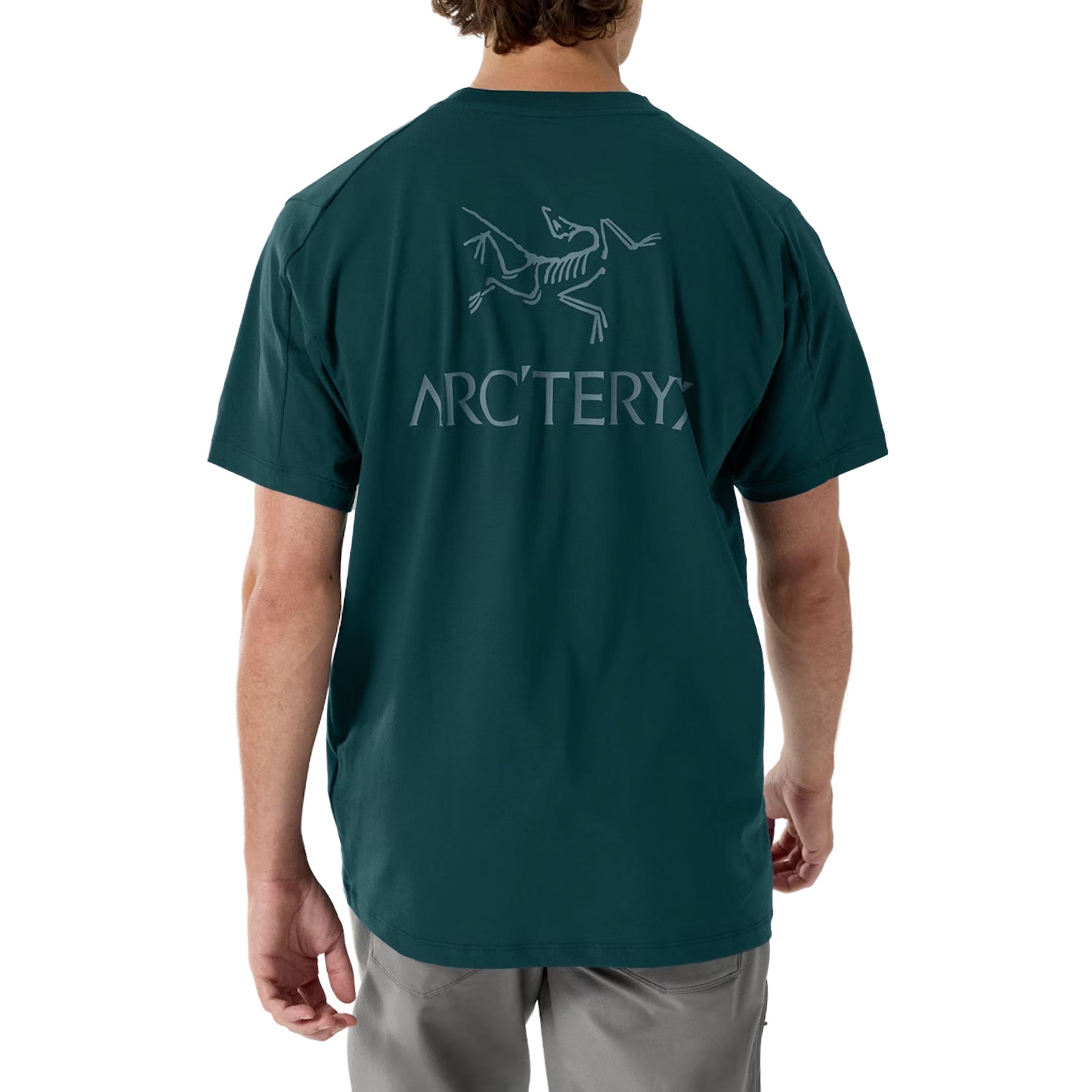 Arc'teryx Kragg SL Cotton Bird Word T-Shirt | Apparel » Buy online