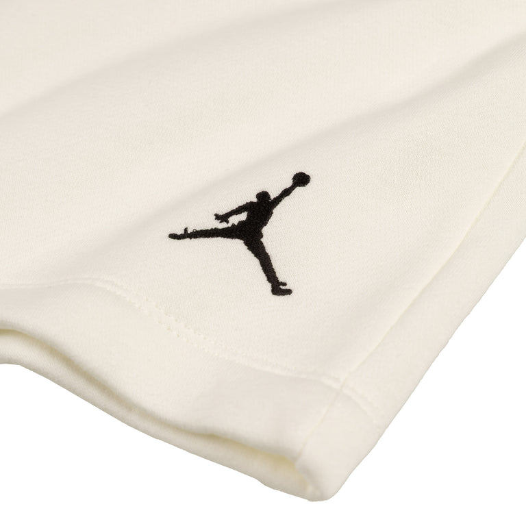 Nike Jordan Brooklyn Fleece Shorts