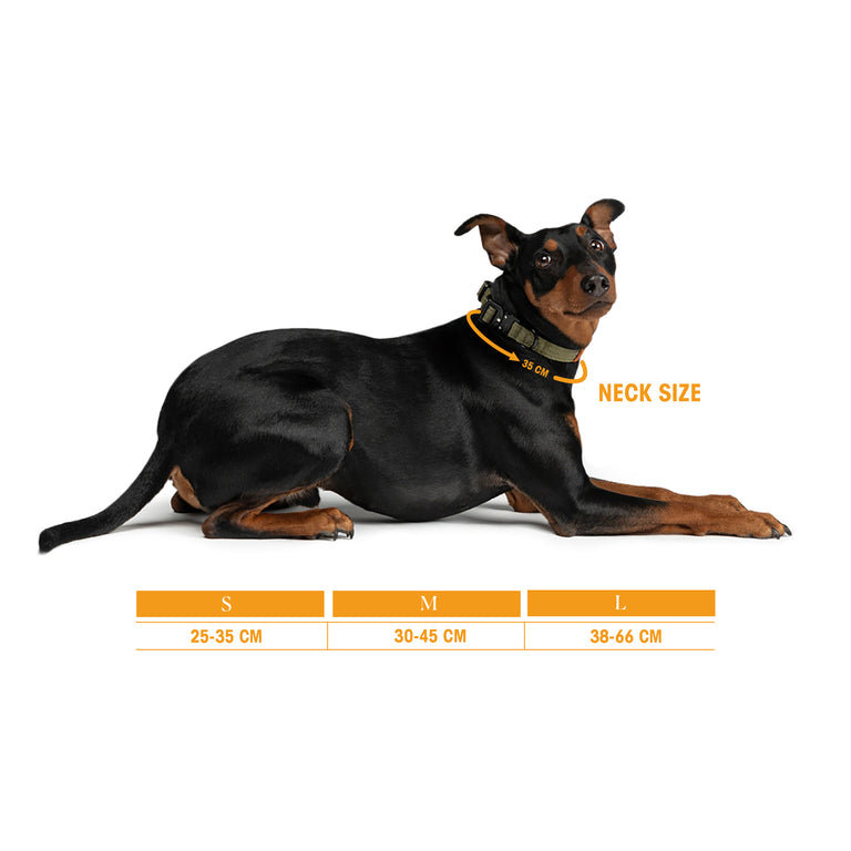 Trekk Dog Collar