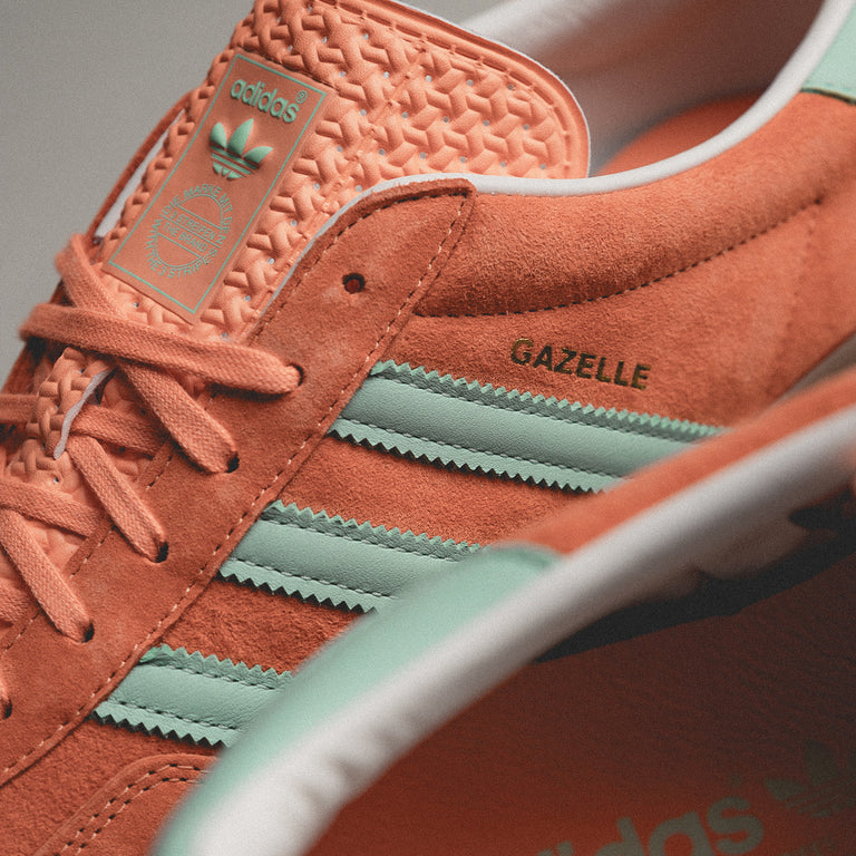 Adidas Gazelle Indoor onfeet
