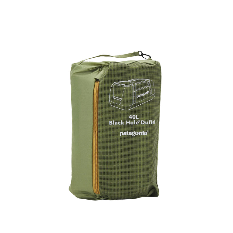 Patagonia Black Hole Duffel 40L