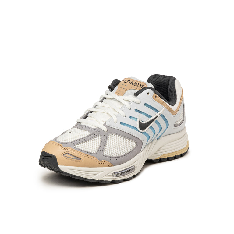 Nike Air Pegasus 2005