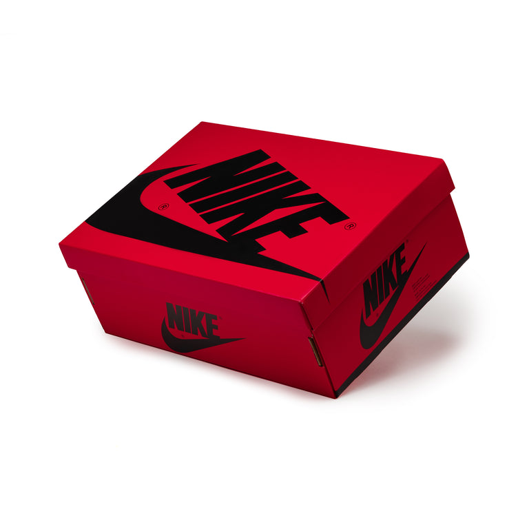 Nike Wmns Air Jordan 1 Retro High OG *Twist 2.0* onfeet
