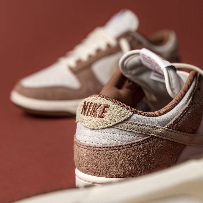 Nike Dunk Low Retro onfeet