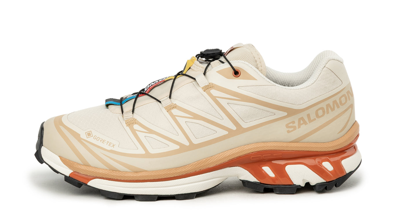 チ*ー様 salomon xt-6 gtx ONENESS_0000_SALOMON-XT-6-GTX-