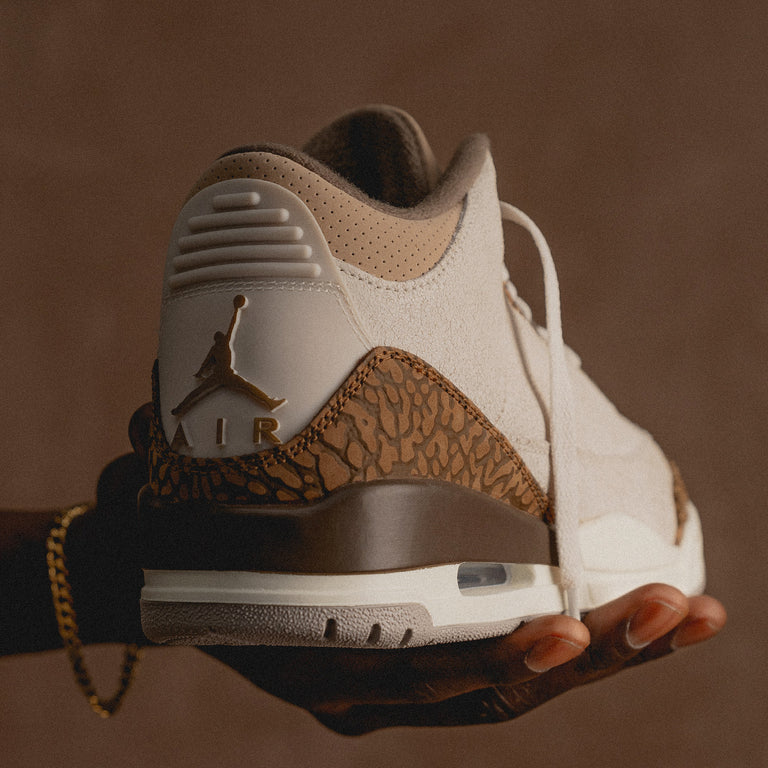 Nike Air Jordan 3 Retro *Palomino* onfeet