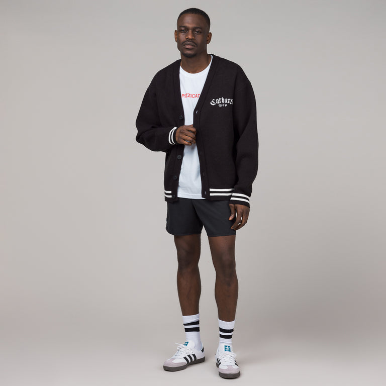 Lacoste Light Quick Dry Swim Shorts