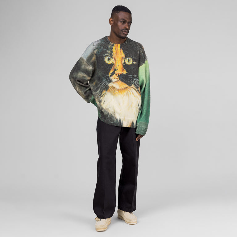 JW Anderson Cat Print Printed Jumper