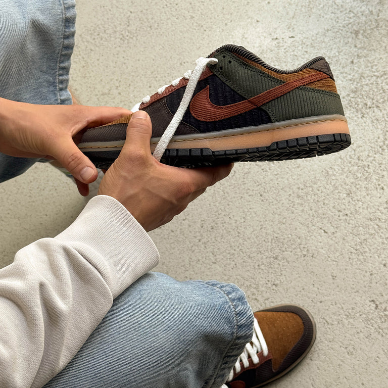 Nike Dunk Low Retro Premium onfeet