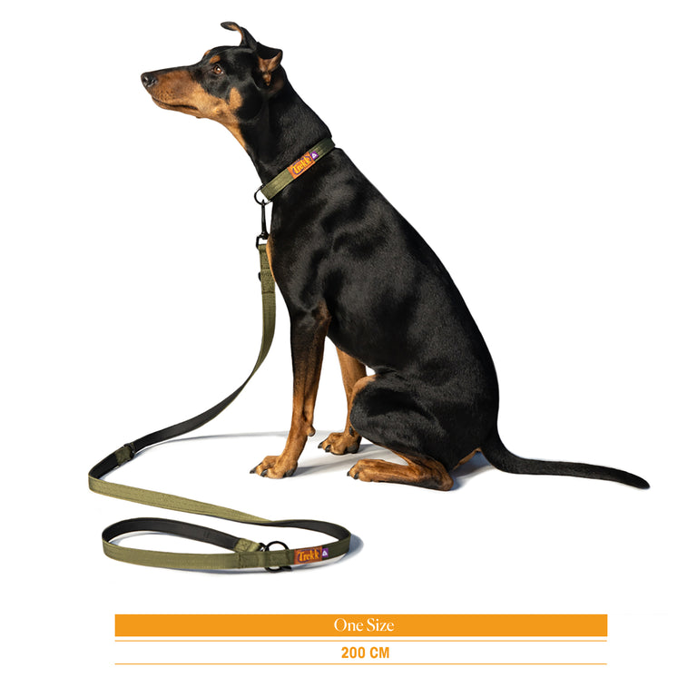 Trekk Dog Leash - 2
