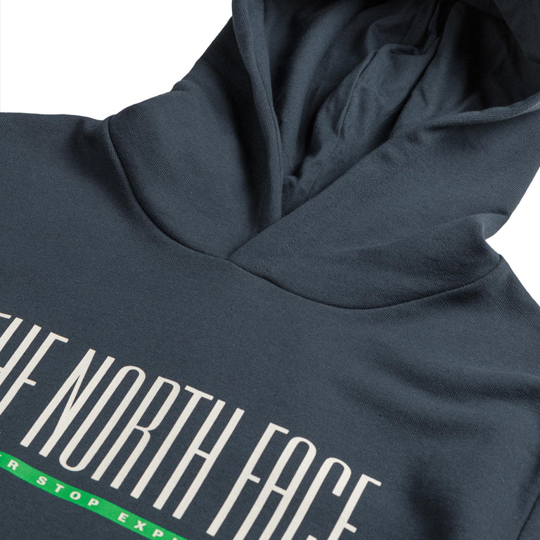 The North Face TNF Est 1966 Hoodie