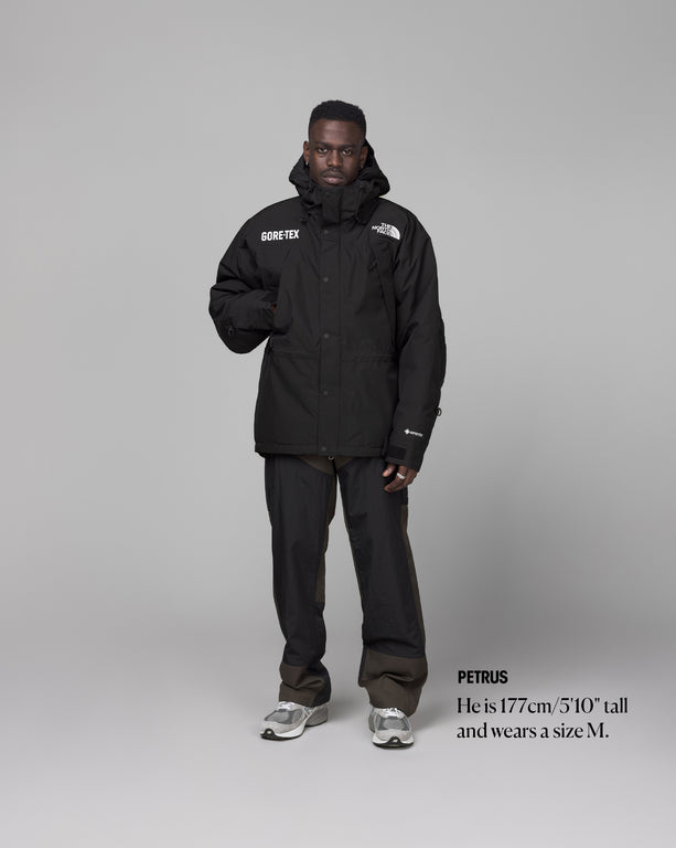 The North Face Gore-Tex Mountain Guide Insulated
