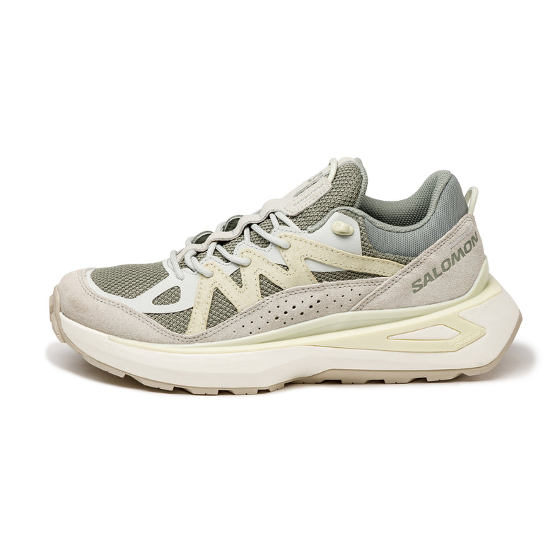 Salomon 2025 speedcross cena