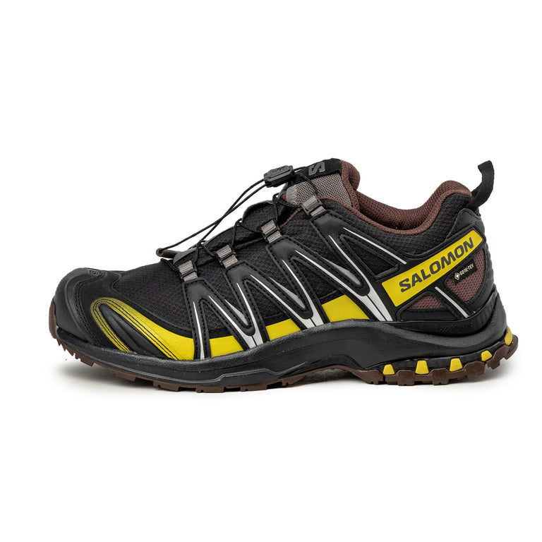 Salomon XA Pro 3D GTX