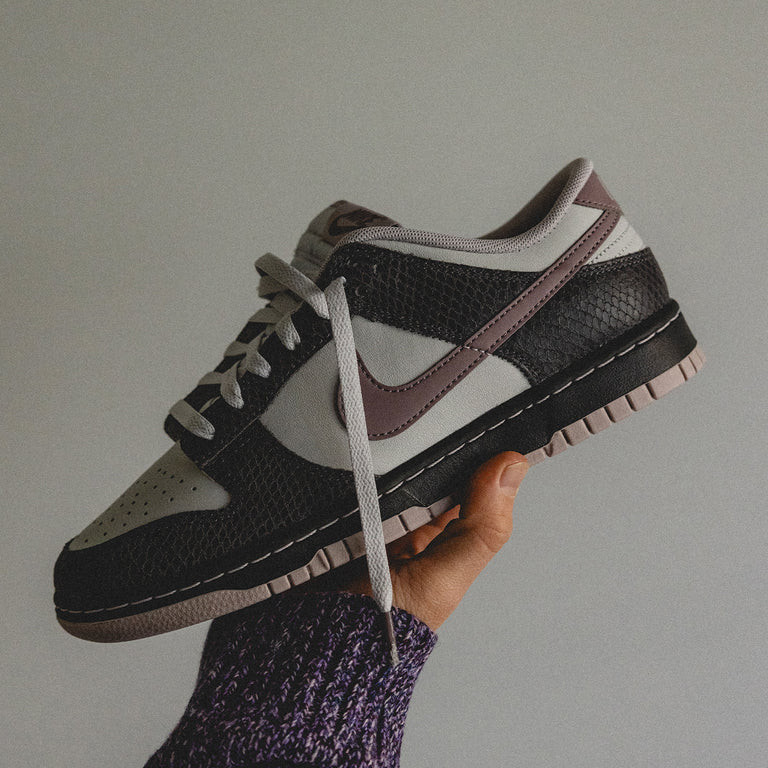 Nike Dunk Low Retro SE onfeet
