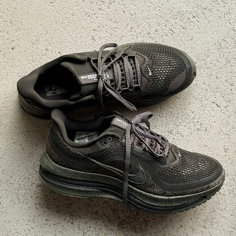 Nike Pegasus Premium onfeet