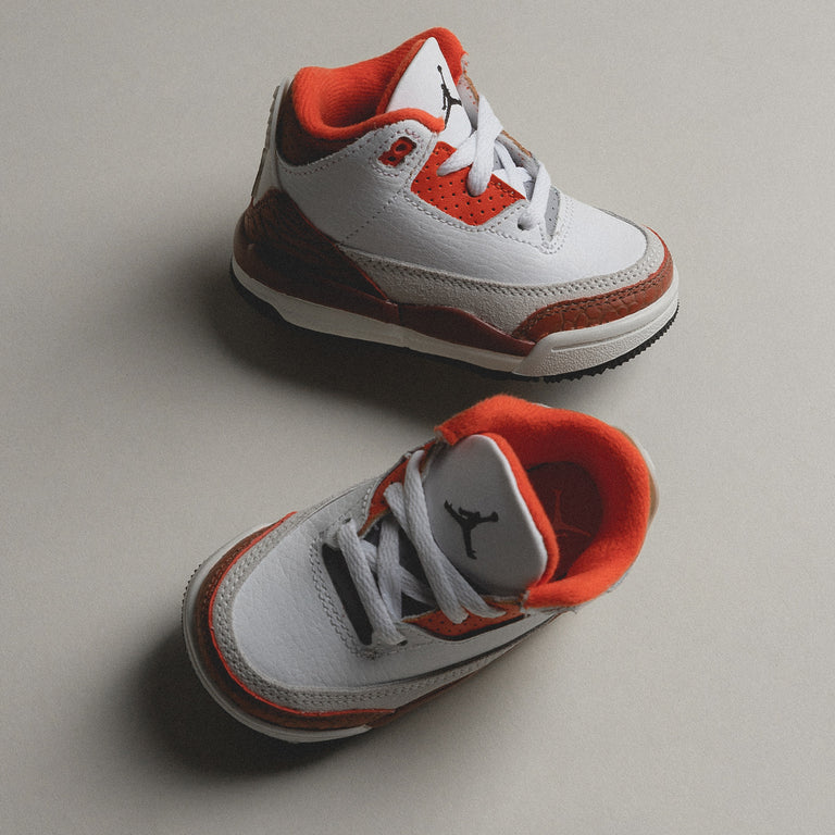 Nike Air Jordan 3 Retro SE *Mars Stone* *TD* onfeet