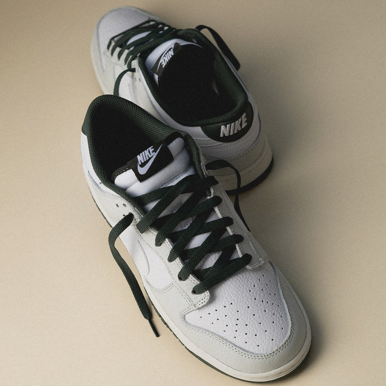 Nike Dunk Low Retro SE onfeet