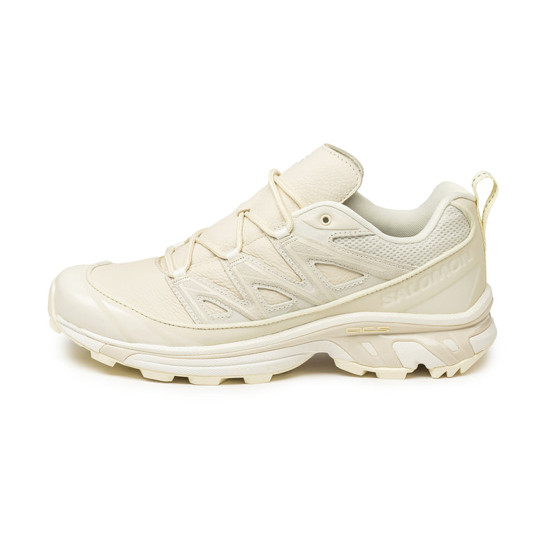 Salomon XT-6 Expanse LTR