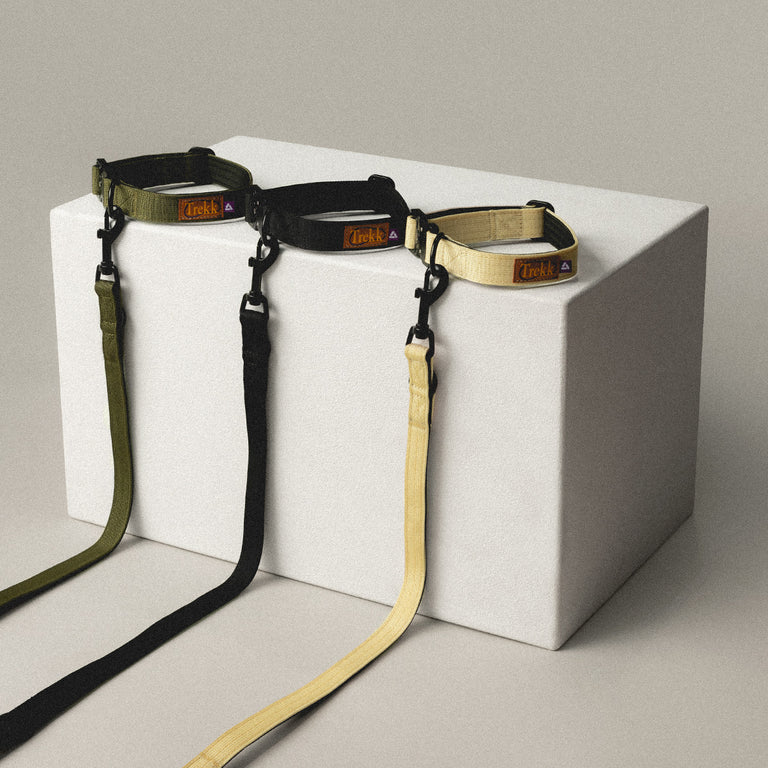 Trekk Dog Leash onfeet