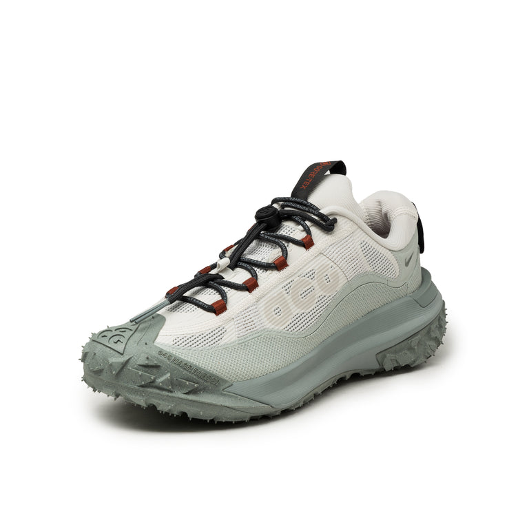 Nike ACG Mountain Fly 2 Low *GTX*