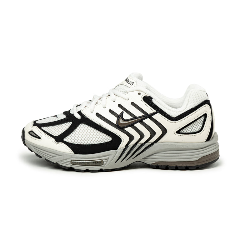 Nike Air Pegasus 2005