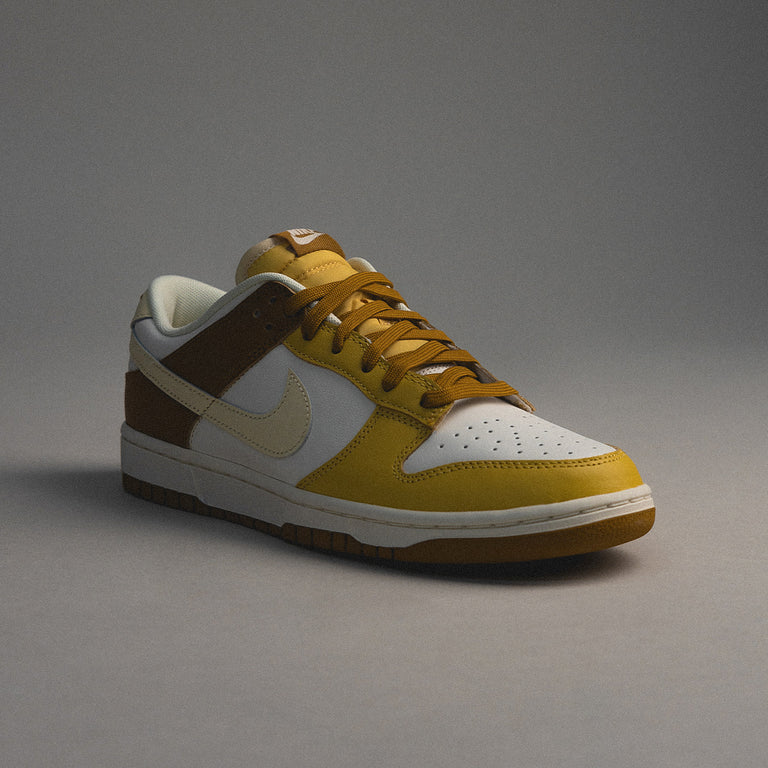 Nike Dunk Low Retro onfeet