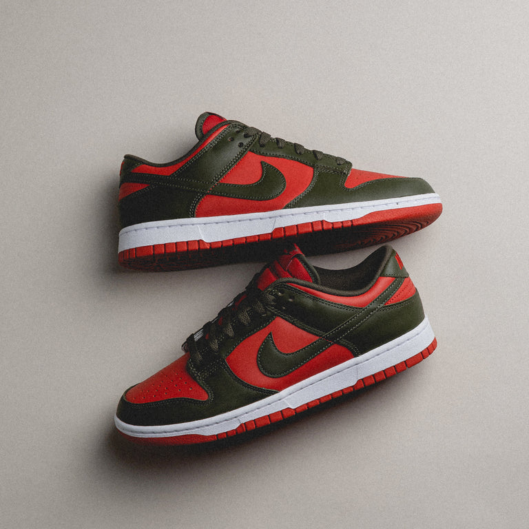 Nike Dunk Low Retro onfeet