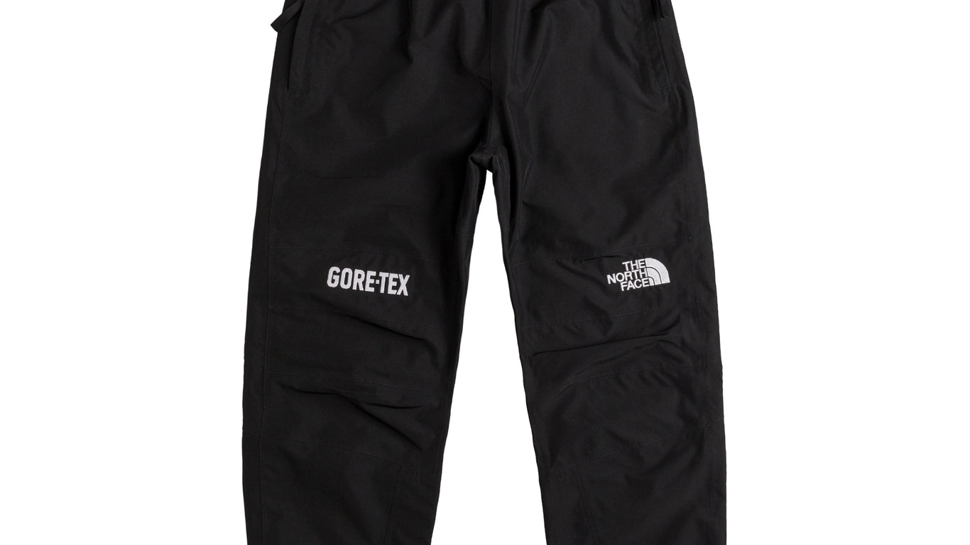 North face all mountain pants hot sale