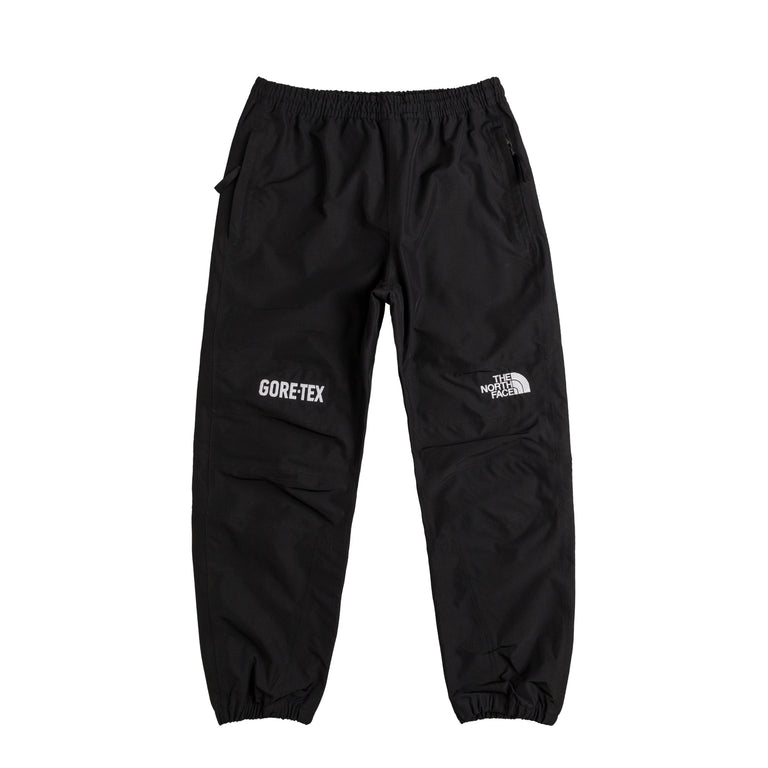 The North Face Gore-Tex Mountain Pant