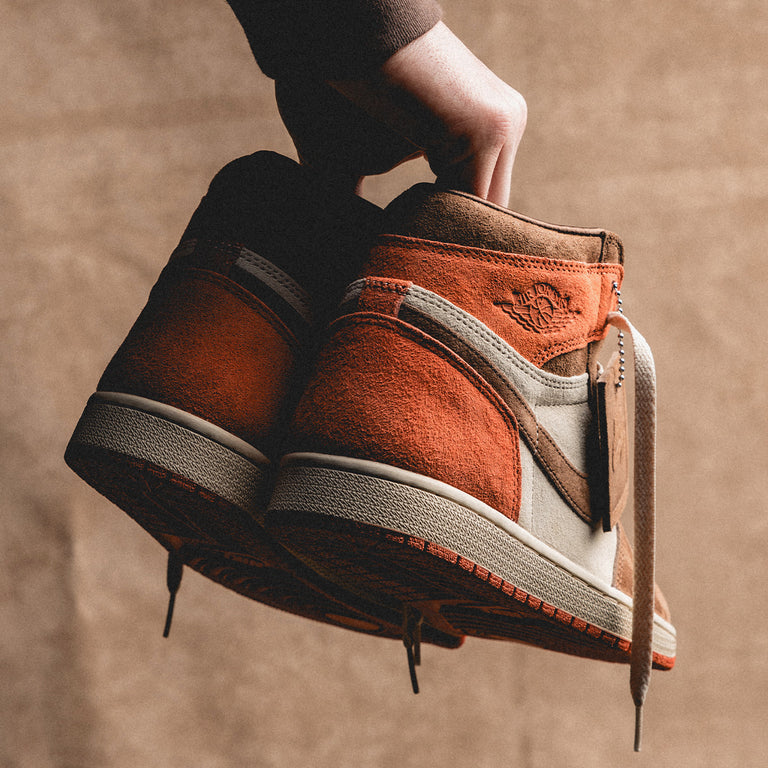 Nike Wmns Air Jordan 1 Retro High OG SP *Dusted Clay* onfeet