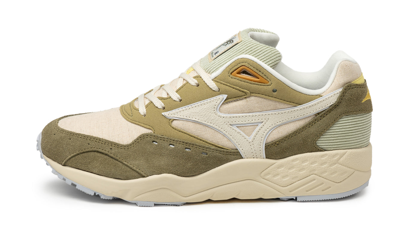 You should buy Mizuno Wave Rider 24 if you