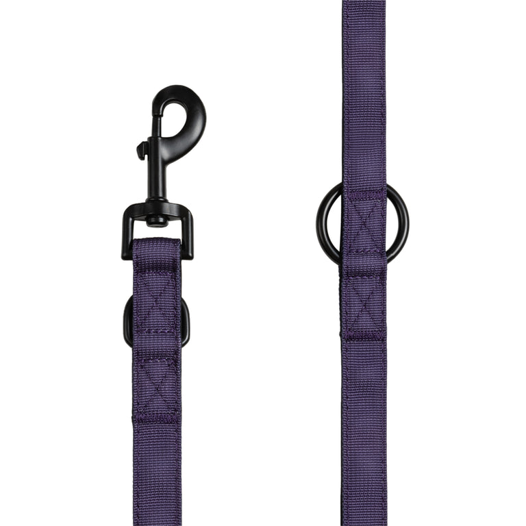 Trekk Dog Leash