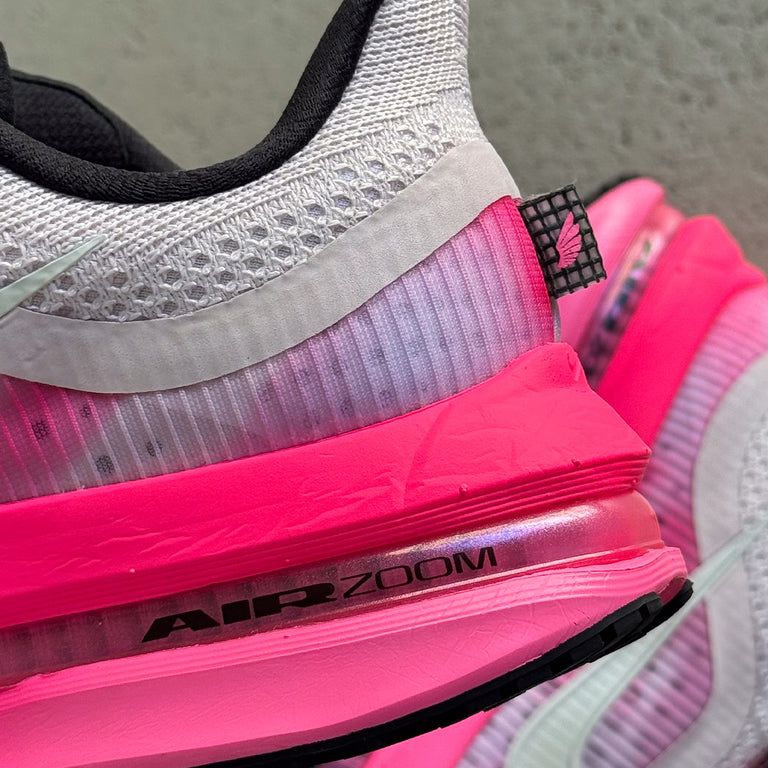 Nike Wmns Pegasus Premium onfeet