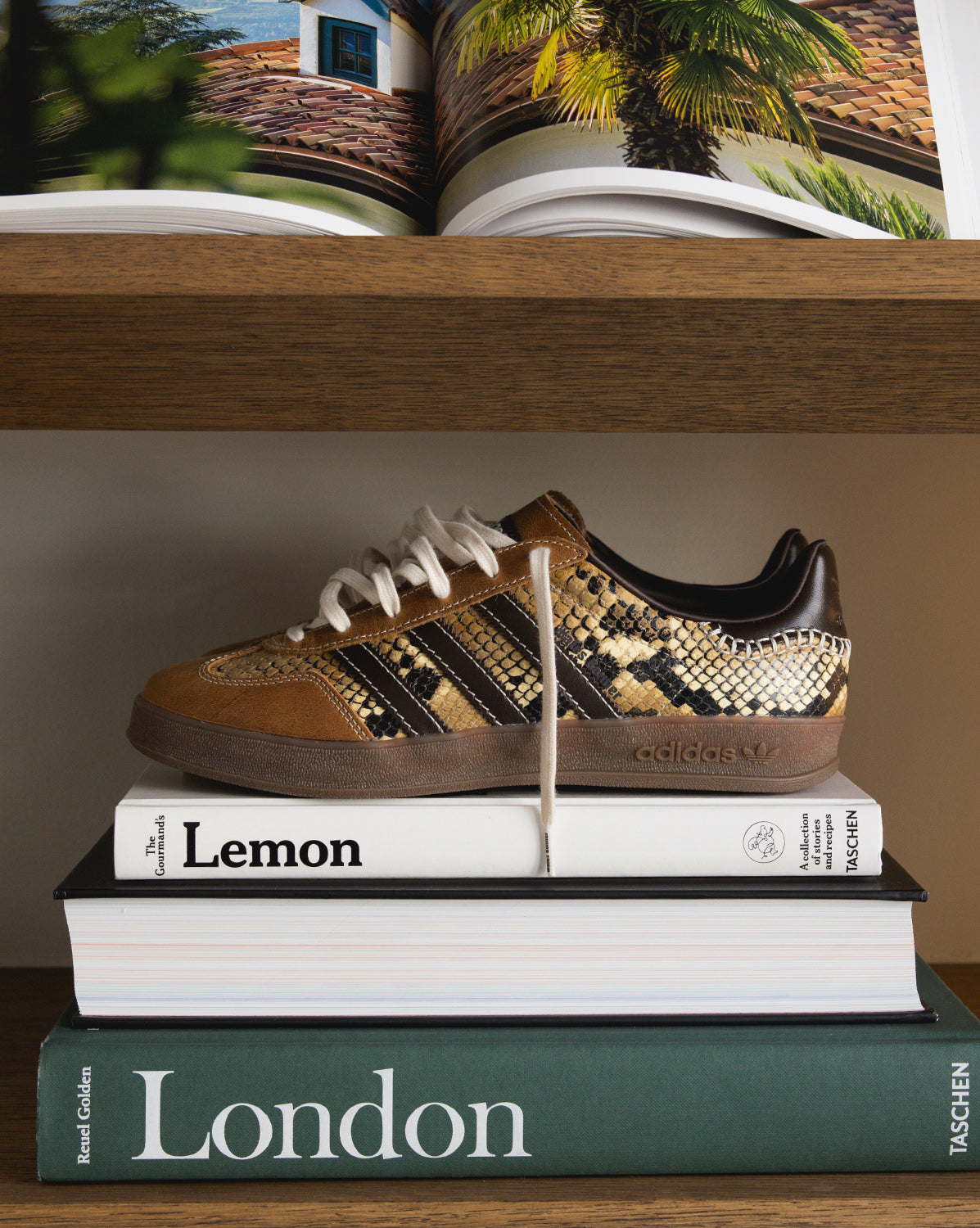 Wales Bonner 23SS 【タグ付き】 Adidas x Wales Bonner Gazelle *Snake* sneakers » bestel nu online!