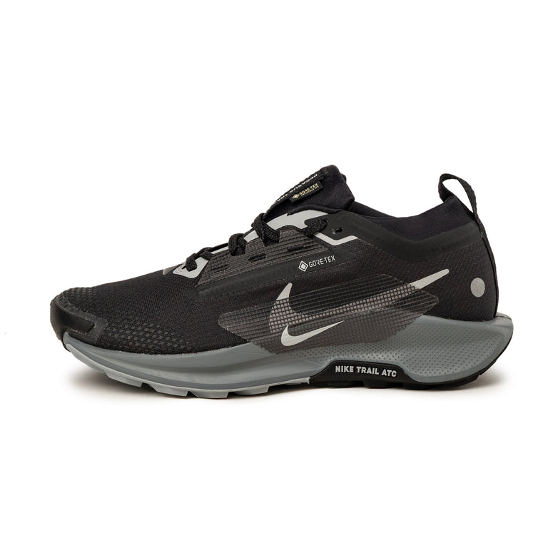 Nike Pegasus Trail 5 *Gore-Tex* SP