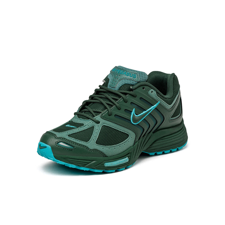 Nike Air Pegasus 2005