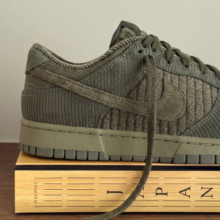 Nike Dunk Low Retro Premium onfeet