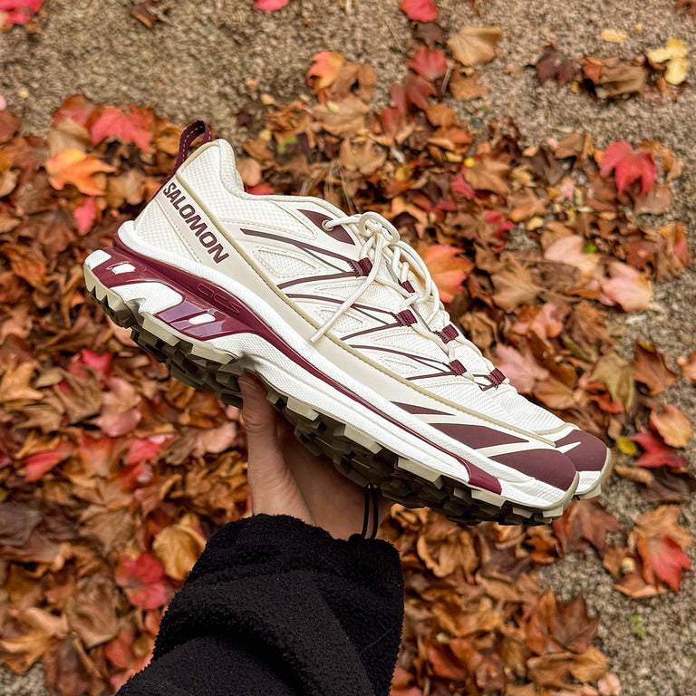 Salomon XT-6 Expanse onfeet