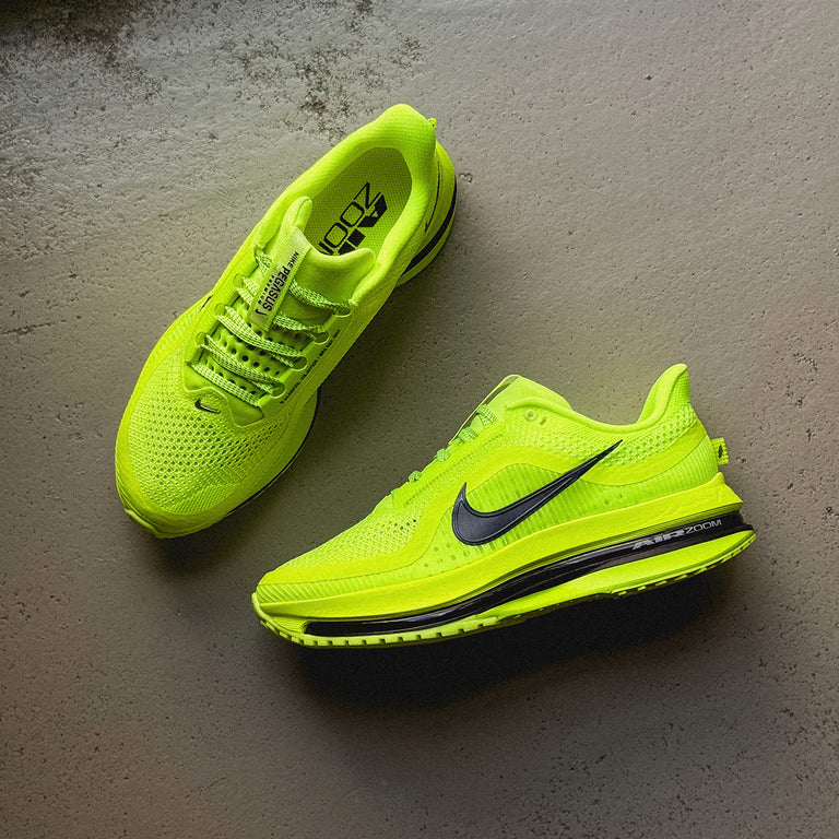 Nike Pegasus Premium onfeet