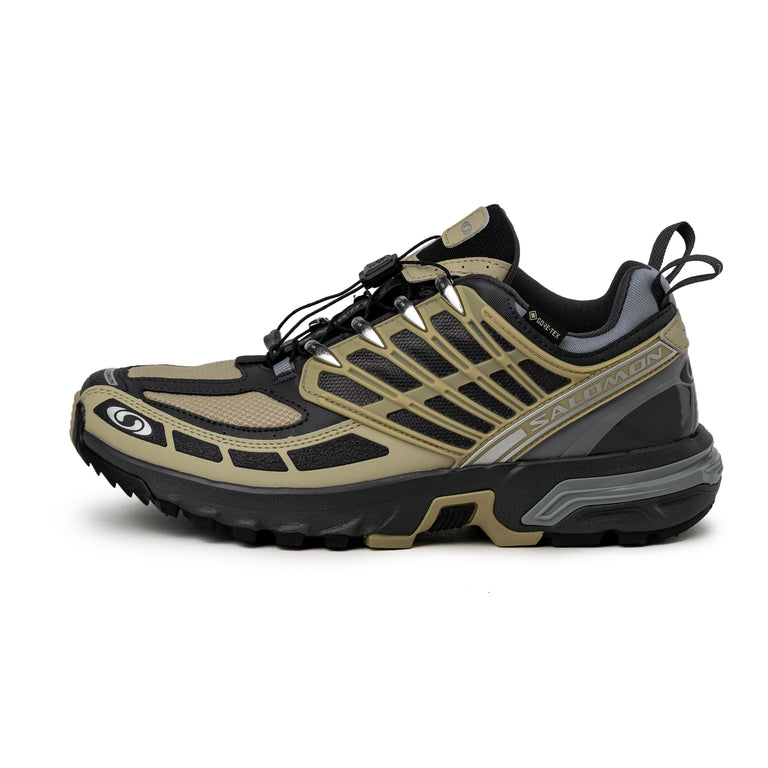 Salomon ACS Pro GTX - 42 / Gray Green / Asphalt / Monument
