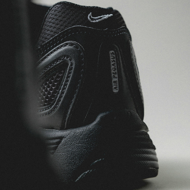 Nike Air Pegasus 2005 onfeet
